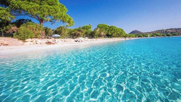 Een strand met helder turquoise water, een zandstrand en een grote boom.