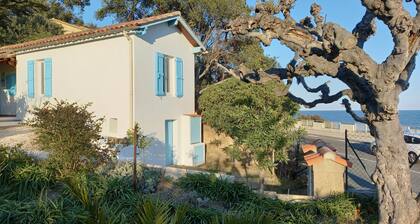 Chateau / Country House