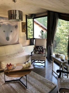 TV, books - Charming super sauze apartment (Enchastrayes)