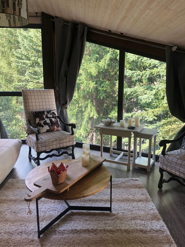 TV, books - Charming super sauze apartment (Enchastrayes)