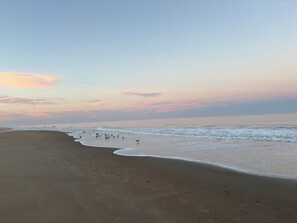 Beach nearby, sun loungers
