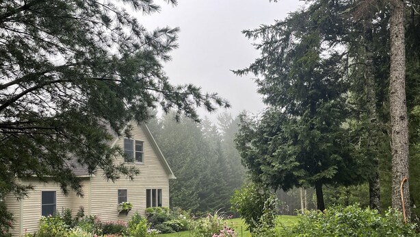 A house surrounded by a garden with a stone pathway. - Charming and cozy apartment nestled in the woods. (Mount Desert)