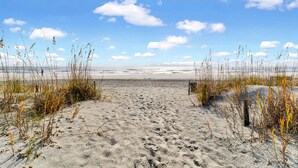 Ein sandiger Strand mit wenig Vegetation und blauem Himmel.