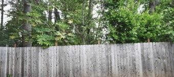 Keizer Rapids Mini Estate 🌊 (Near In-N-Out)
