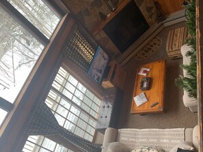 电视、壁炉、DVD 播放器、书
