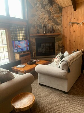 TV, fireplace, DVD player, books