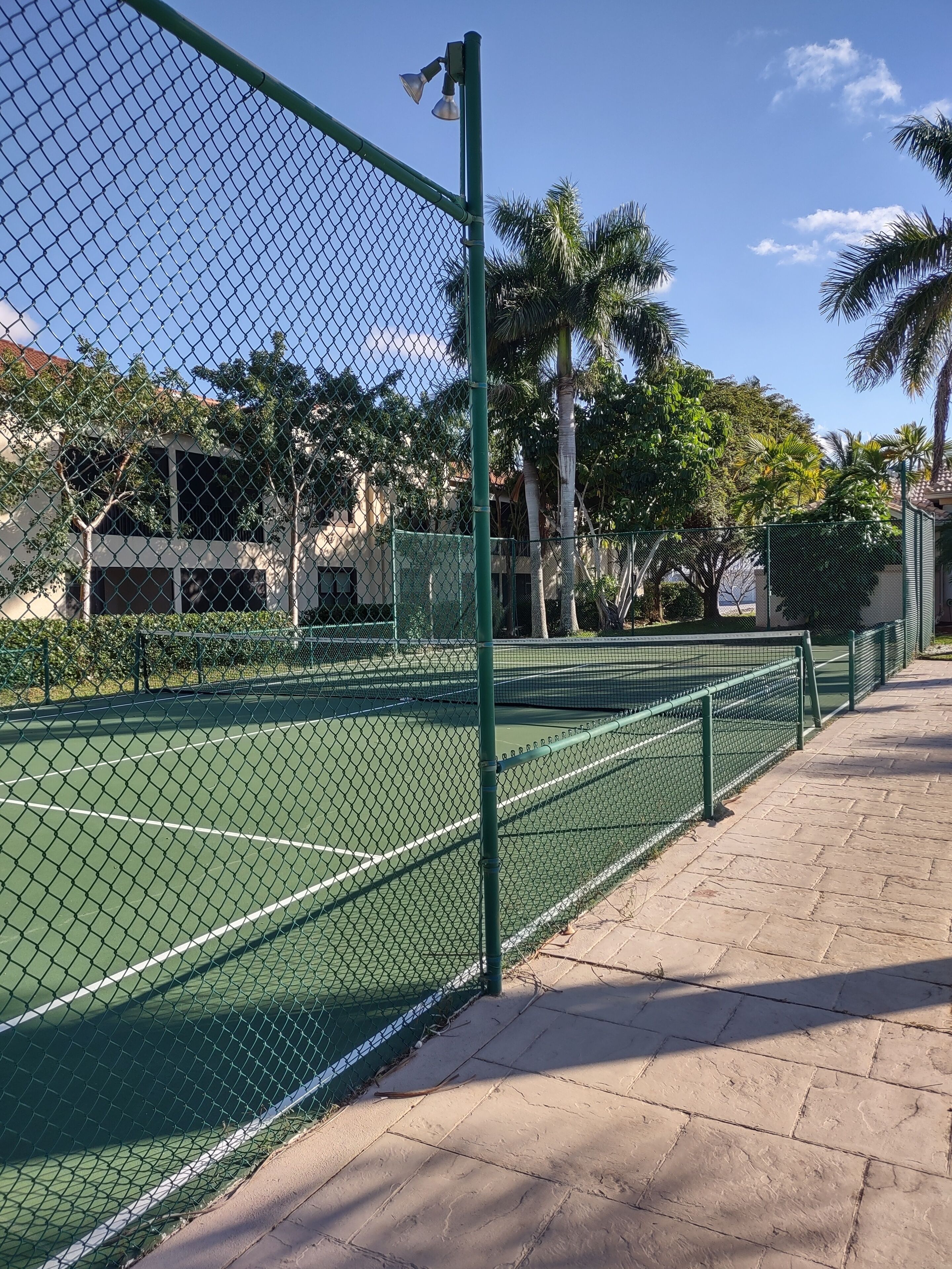 Een tennisbaan omheind door een groen hek van gaas, met een heldere lucht en palmbomen op de achtergrond.
