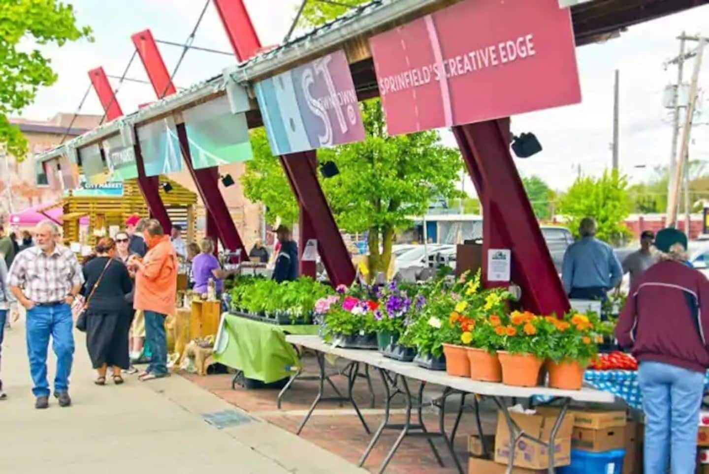 A street market with tables displaying potted plants and flowers.