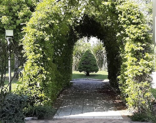 Villa Annamaria, villa with private pool, parking, large spaces, in Cassino