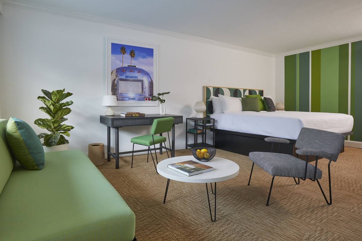 Habitación de hotel con cama, escritorio con silla, sofá, una mesita pequeña y una planta grande en maceta.