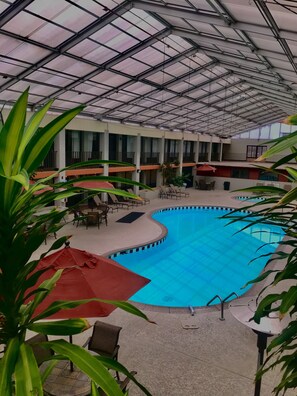 Una piscina interior con techo de vidrio, rodeada de sillones y sombrillas.