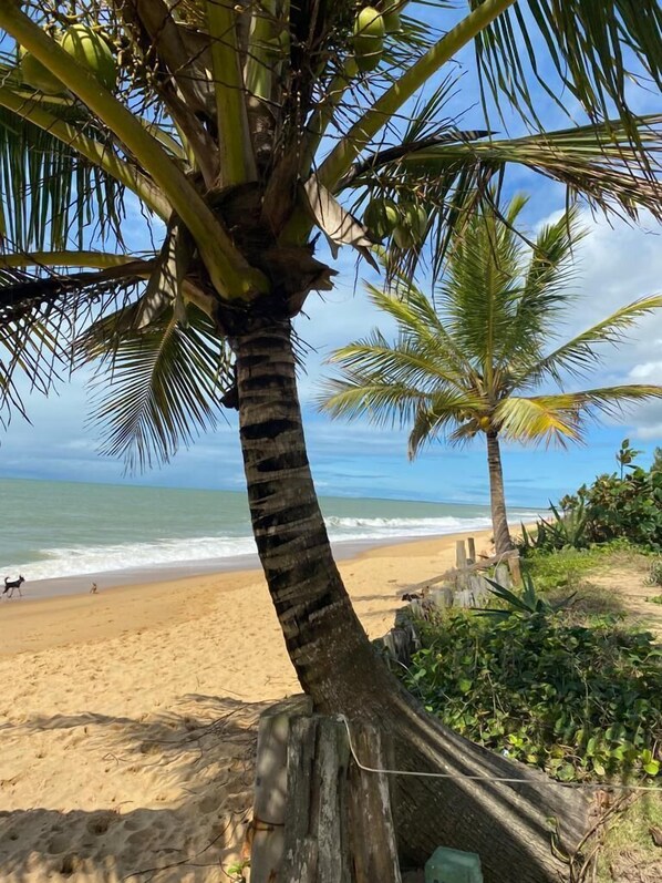 Terrace/patio - Pousada Vila Rosa (Porto Seguro)