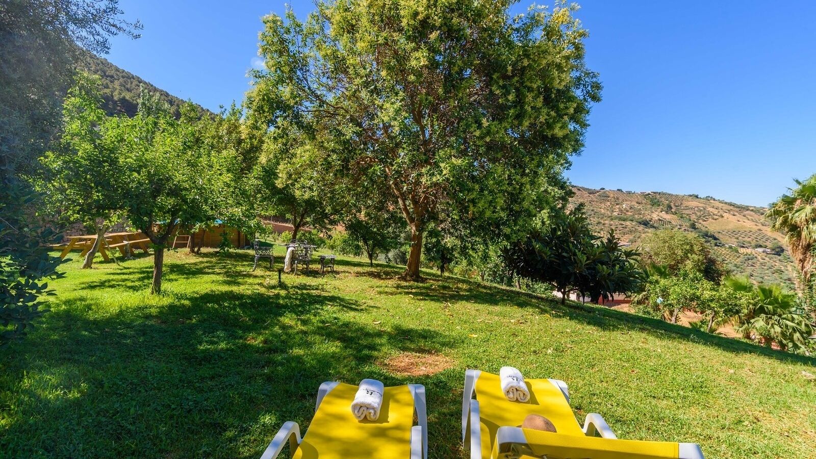 A grassy outdoor area with yellow lounge chairs and picnic tables, surrounded by trees and hills.