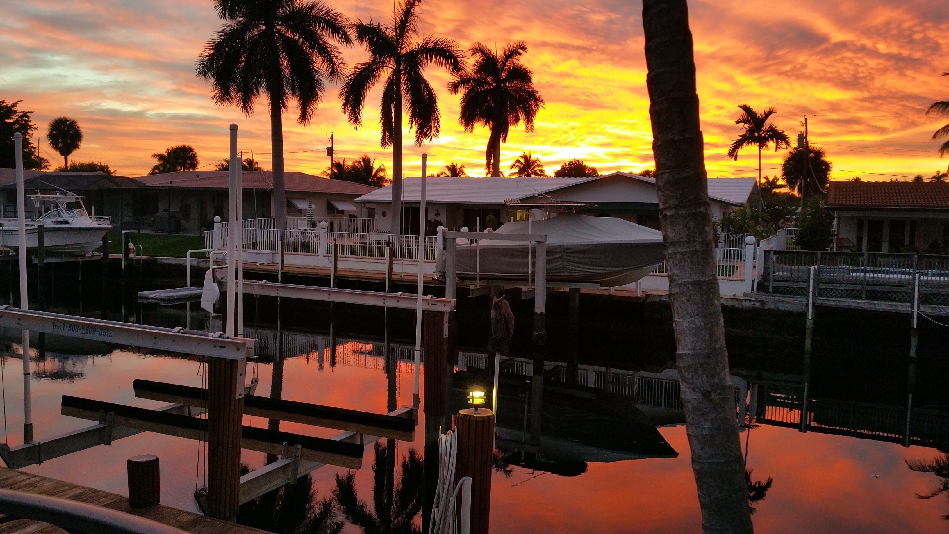 Un puerto deportivo con barcos amarrados, un área techada y palmeras contra un cielo al atardecer.