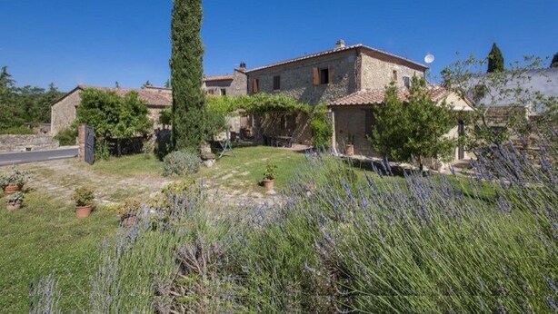A rustic stone house with a garden featuring lavender and a tall cypress tree. - A cozy nest for a pair (Civitella Paganico)