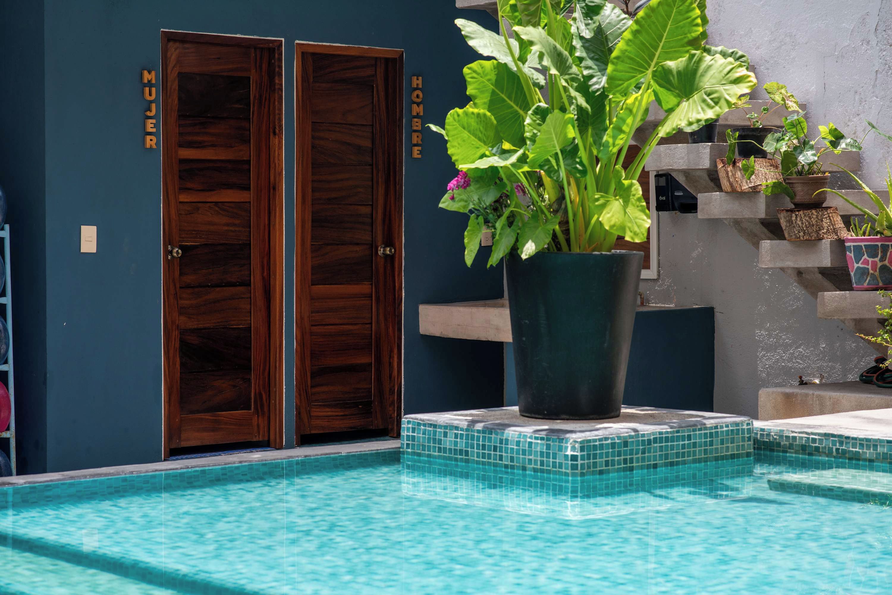 A pool area with a wooden door labeled 'Mujer' and 'Hombre,' a potted plant, and a tiled edge.