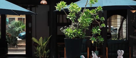 A pool area with a tiled edge, potted plants, and umbrellas.