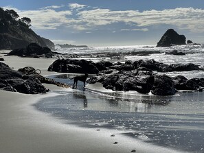 Playa en los alrededores 