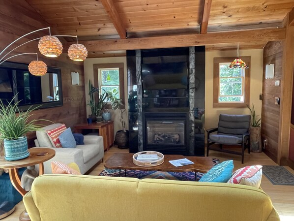 Smart-TV, Kamin, Computerbildschirme