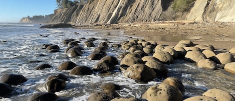 在海灘附近