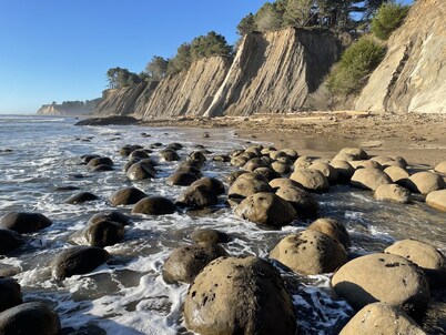 Adorable cottage w/ ocean views, redwoods, and a hot tub. Pets OK!