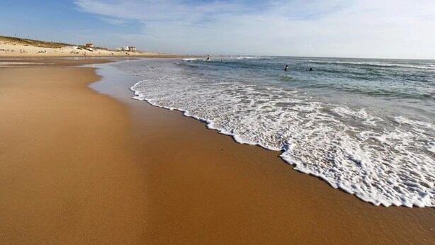 Una playa con arena, olas y cielo despejado.