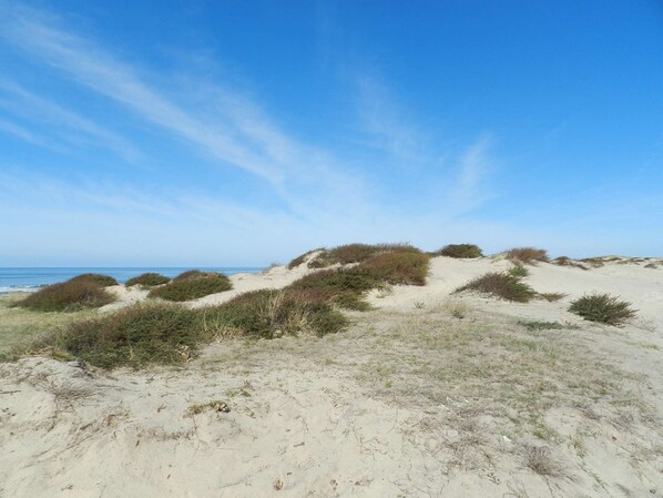 Plage à proximité