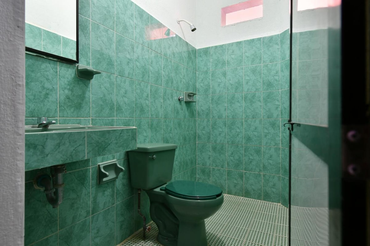 Een badkamer met toilet, douche en wastafel.