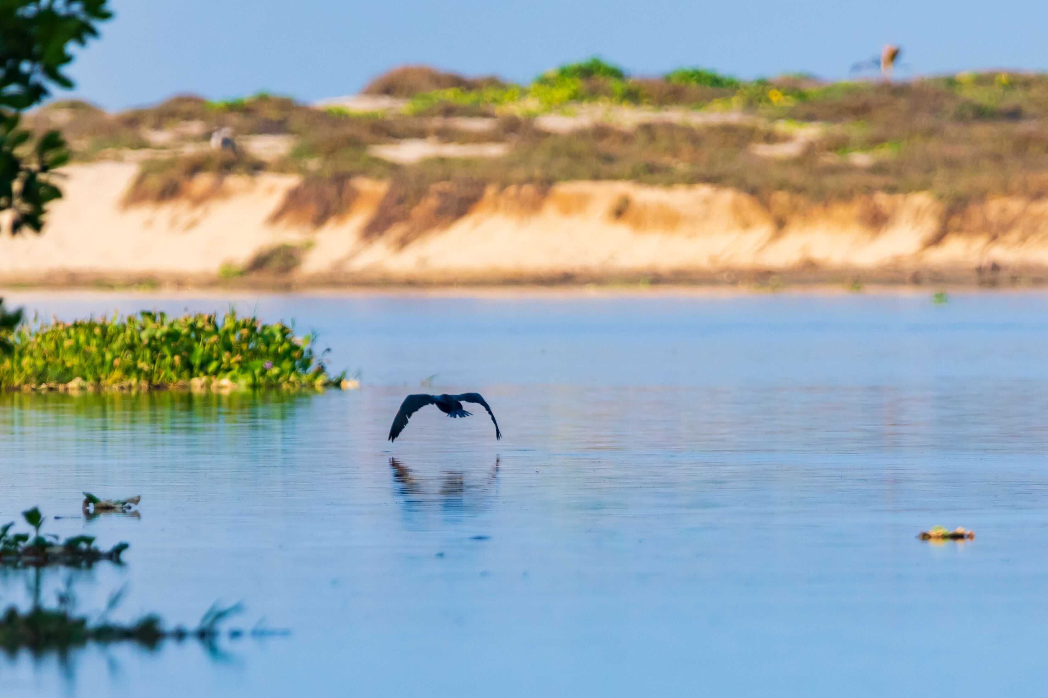 Foto - Hotel Costamar, Puerto Escondido