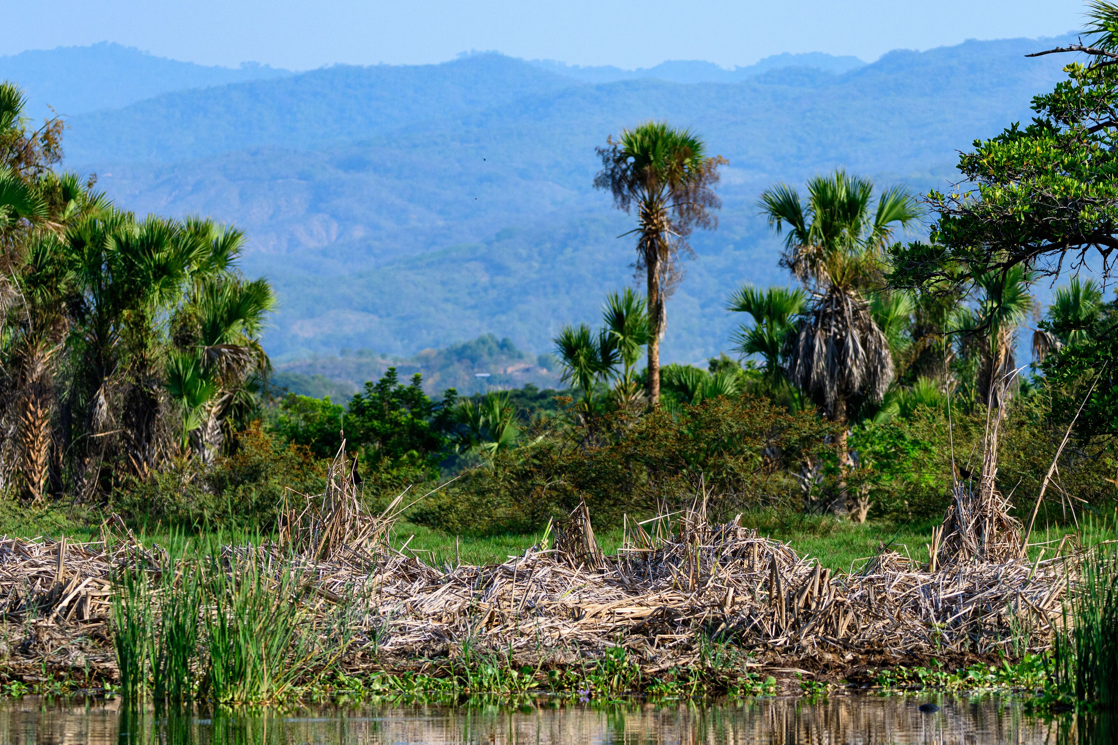 Foto - Hotel Costamar, Puerto Escondido