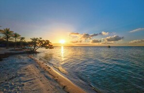 Enjoy a serene beach scene with a palm tree, sandy beach, and a small boat anchored in the distance.