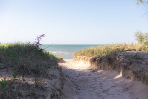 On the beach - Log Lover's Dream on Sand Point (Pigeon)