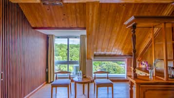 Double Room, City View | City view