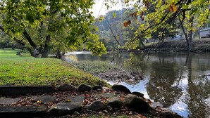 A calm lake with a grassy bank, rocks, and trees with autumn leaves.