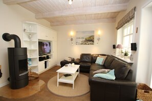 TV, fireplace, DVD player, stereo - Haus Sturmmöwe, Susanne-Fischer Weg 47 - Comfortable 5 star vacation home with (Wyk auf Föhr)