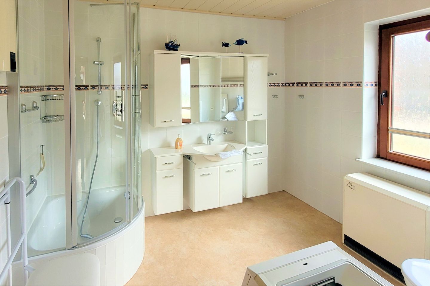 Shower, hair dryer
