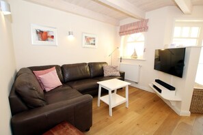 TV, fireplace, DVD player, stereo - Haus Qualle, Susanne-Fischer Weg 29 - 5 star vacation home with approx. 80 sqm (Wyk auf Föhr)