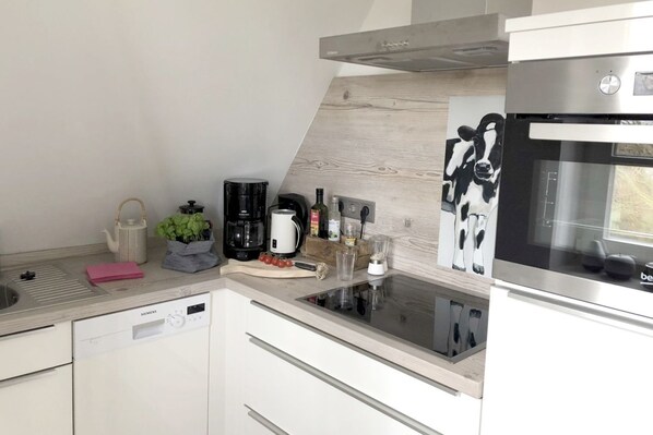 Fridge, oven, stovetop, dishwasher