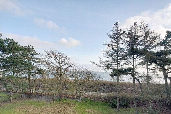 Unclassified image, 1 of 14, button