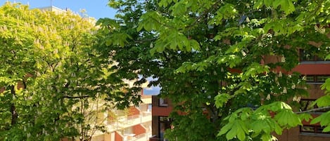 Boendeområde