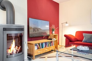 Télévision, cheminée, lecteur de DVD, chaîne hi-fi