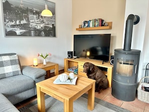 Televisión, chimenea, reproductor de DVD y tenis de mesa 