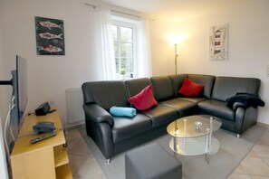 Televisión, chimenea, reproductor de DVD y estéreo 