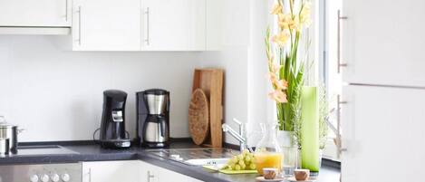 Fridge, oven, stovetop, dishwasher