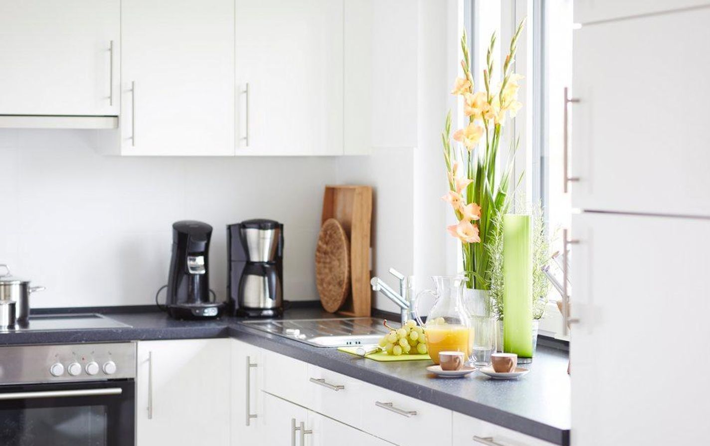 Fridge, oven, stovetop, dishwasher