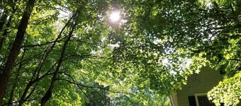 Secluded retreat in the trees