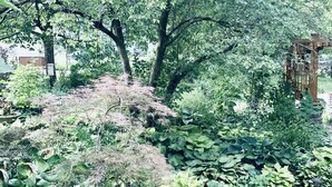 A garden with various plants and trees, stone pathway, and wooden structure.