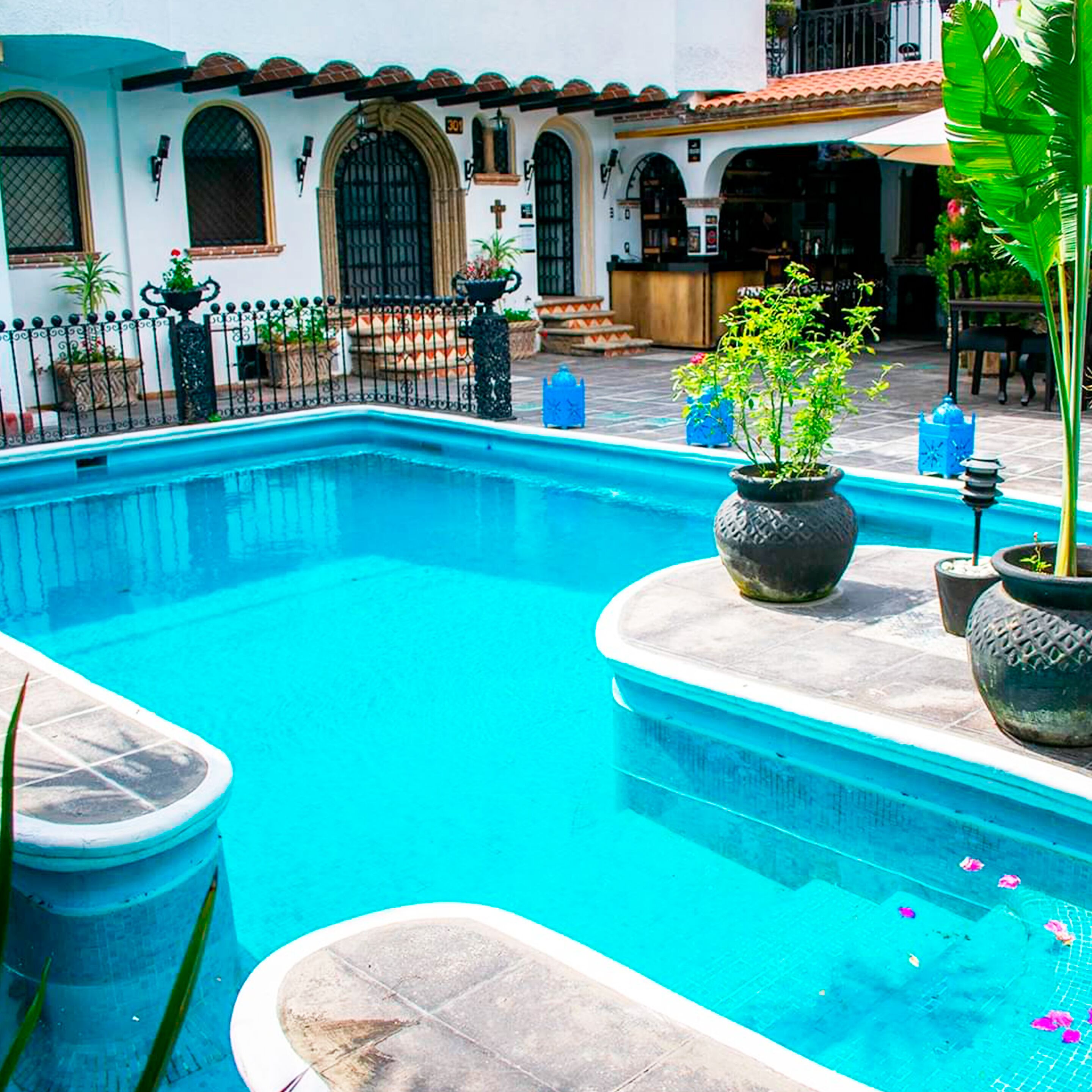 outdoor pool, pool loungers