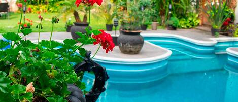 Outdoor pool, sun loungers