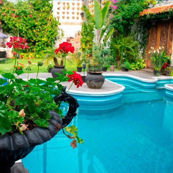 Piscine extérieure, chaises longues